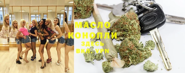 стаф Козловка
