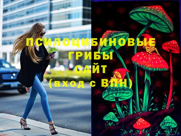 спиды Кодинск