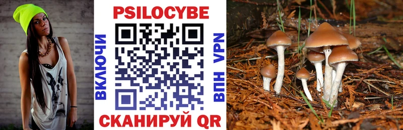 Галлюциногенные грибы мицелий  Кудымкар 